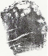 Artist fingerprint